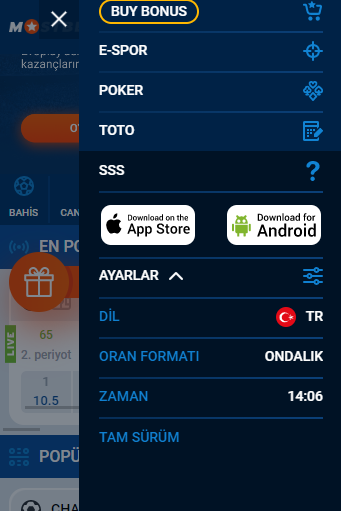 Mobil uygulama ve web sitesinin mobil versiyonu
